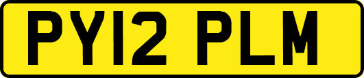 PY12PLM
