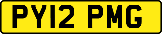 PY12PMG