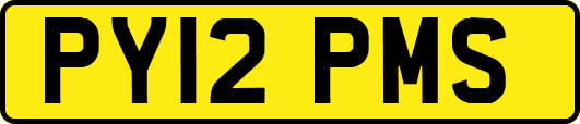 PY12PMS