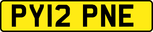 PY12PNE