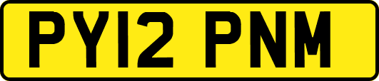PY12PNM