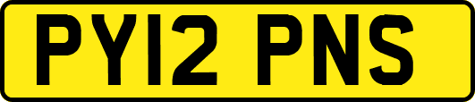 PY12PNS