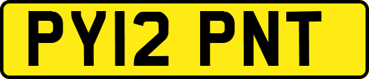 PY12PNT