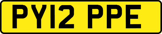 PY12PPE
