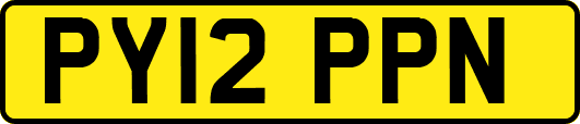 PY12PPN
