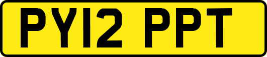 PY12PPT