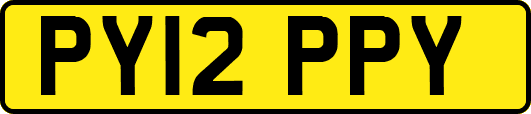 PY12PPY
