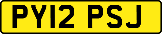 PY12PSJ