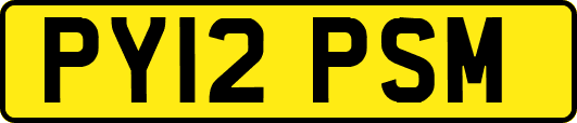PY12PSM