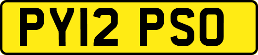 PY12PSO