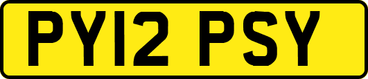PY12PSY