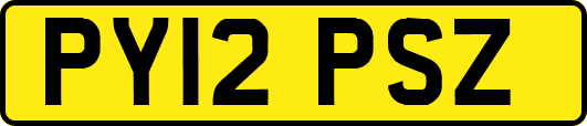 PY12PSZ