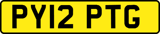 PY12PTG