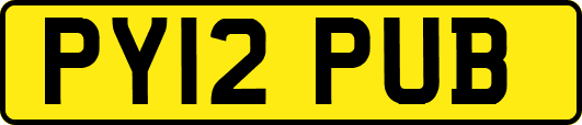 PY12PUB