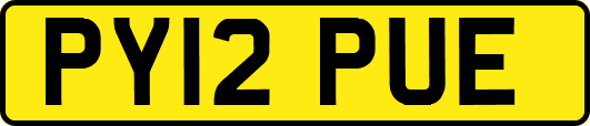 PY12PUE