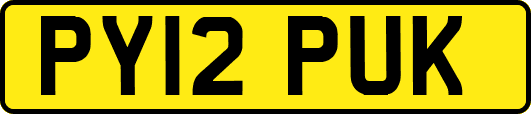 PY12PUK