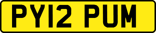 PY12PUM