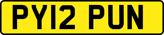 PY12PUN