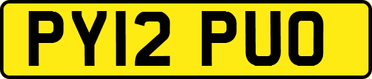 PY12PUO