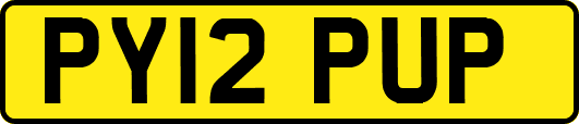 PY12PUP