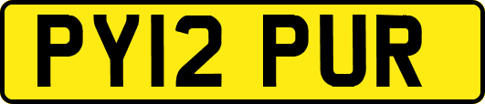 PY12PUR