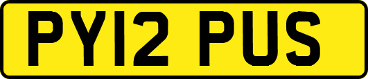PY12PUS