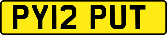 PY12PUT