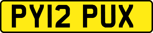 PY12PUX