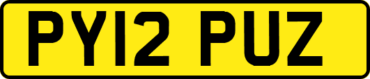PY12PUZ