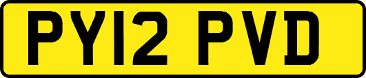 PY12PVD