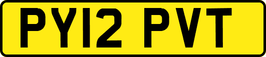 PY12PVT