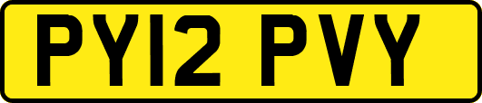 PY12PVY
