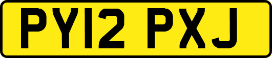 PY12PXJ