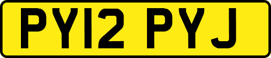PY12PYJ