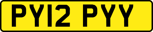 PY12PYY