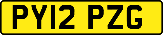 PY12PZG