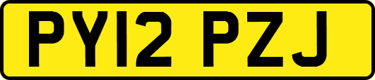 PY12PZJ