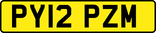 PY12PZM