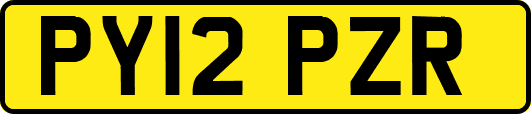 PY12PZR