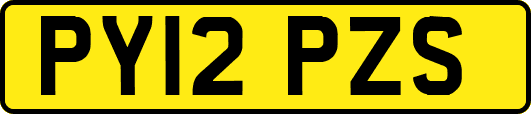 PY12PZS