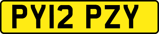 PY12PZY