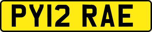 PY12RAE