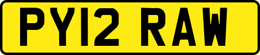 PY12RAW