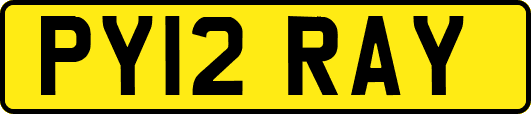 PY12RAY