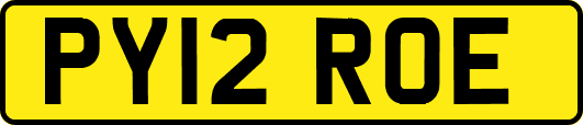 PY12ROE