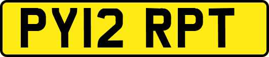 PY12RPT