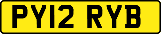 PY12RYB