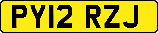 PY12RZJ