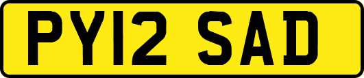 PY12SAD