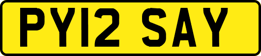 PY12SAY